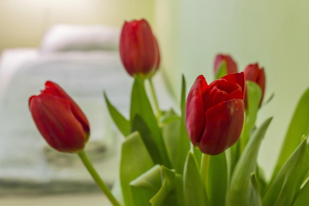 Flower Rooms 크라쿠프 외부 사진